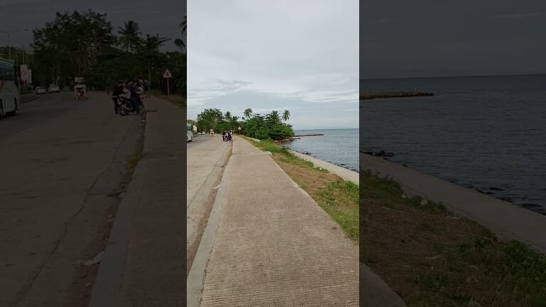 sta cruz seaside