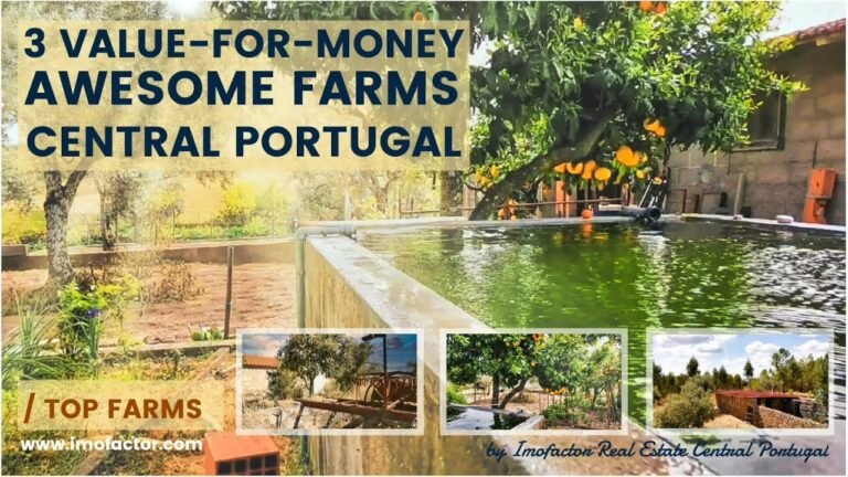 🌄 3 Value for Money Awesome Farms in Central Portugal