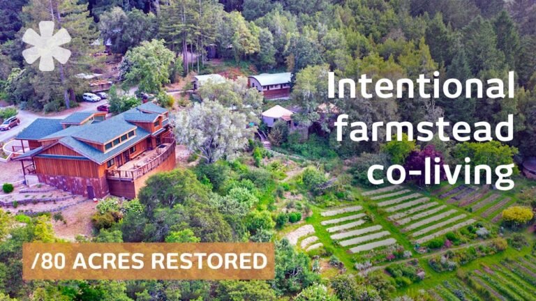 7 friends built restoration ecovillage. Outcome 50 years on