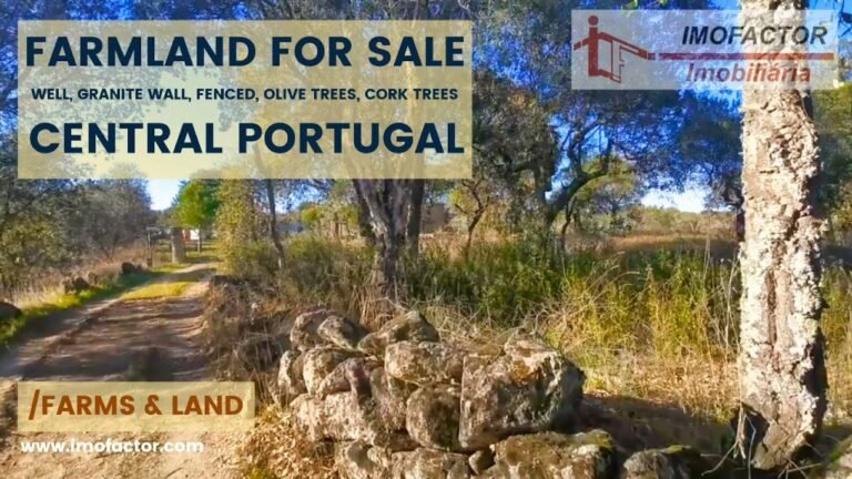 Cheap Farmland for Sale – Central Portugal | €13000