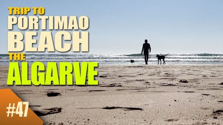 Clearing Up Dead Cork Trees and a Trip To Portimão Beach in The Algarve/ Portugal #47