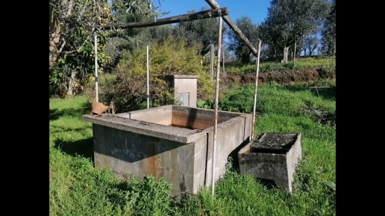 Farm for sale in Portuguese countryside Farm for sale in Portuguese countryside