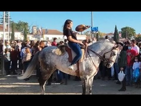 Golegã walk, Horse Fair, Santarém, Portugal [4k Ultra HD]