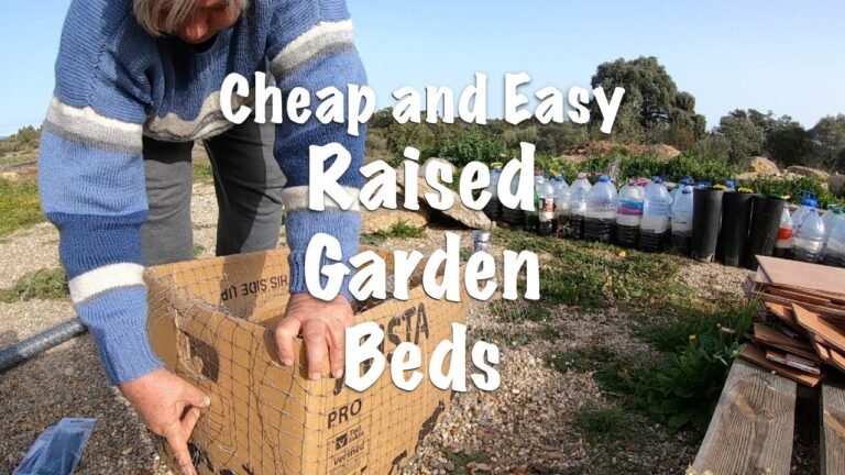 Living off-grid in Central Portugal/ CHEAP and EASY RAISED GARDEN BEDS Living off-grid in Central Portugal/ CHEAP and EASY RAISED GARDEN BEDS