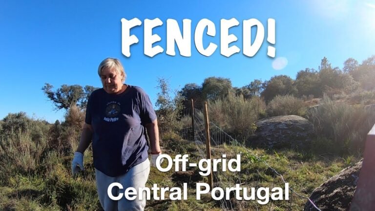 OFF-GRID Farm  life in PORTUGAL / FENCED!