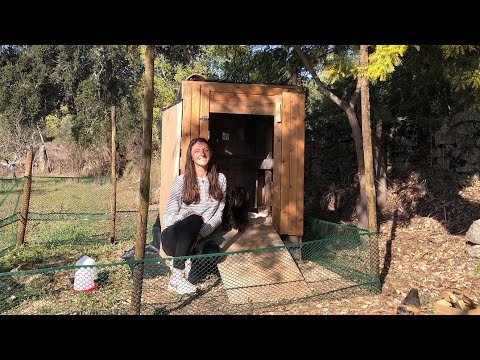 Off grid life – Building a Chicken Coop for free (almost) with pallets and scraps. Central Portugal