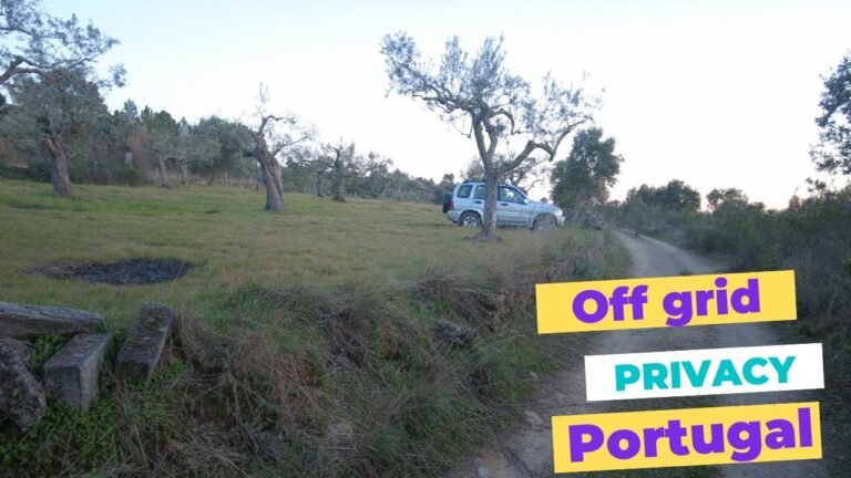 Off grid property for sale | Central Portugal | 14800 sqm | €26.000,00