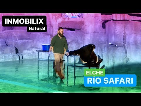 🌴🦭Rio Safari Elche 🤩Parte 2 🌴Espectáculo de leones marinos 🦭 Disfruten del vídeo 👏🏻