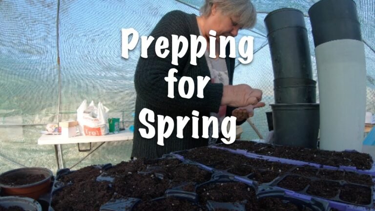 Solo Off-Grid Living in Central Portugal / Prepping for Spring Solo Off-Grid Living in Central Portugal / Prepping for Spring
