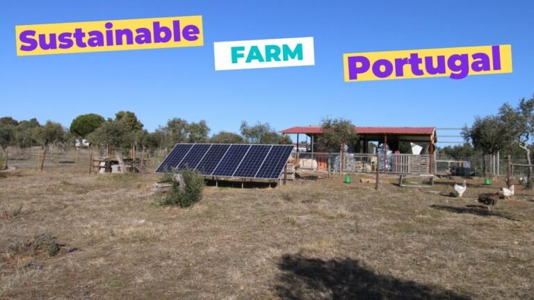 Sustainable portuguese farm | 17000 m2 of land / 1.7 ha | € 75.000,00 Sustainable portuguese farm | 17000 m2 of land / 1.7 ha | € 75.000,00