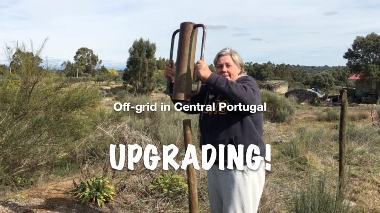 UPGRADING an abandoned off-grid FARM in Central PORTUGAL