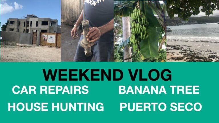 WEEKEND VLOG – PUERTO SECO BEACH, CAR REPAIRS, BANANA SURPRISE, HOUSE HUNTING.