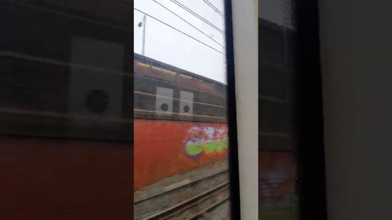 tip tip #shorts #harry #gujjar #youtube #manchester #portugal