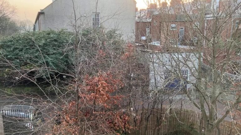 Portugal immigration new updates