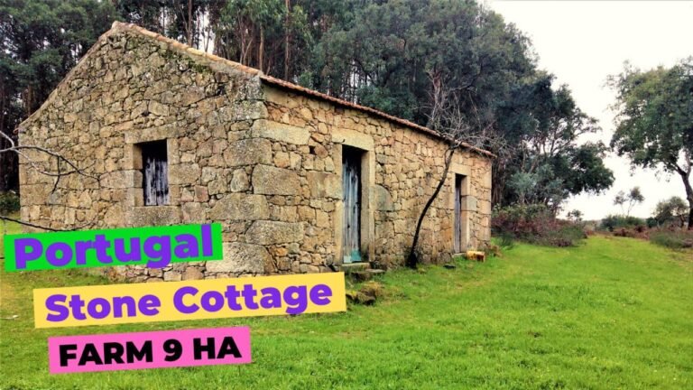 9 hectares Farm | Stone cottage 66 sqm | € 85.000,00