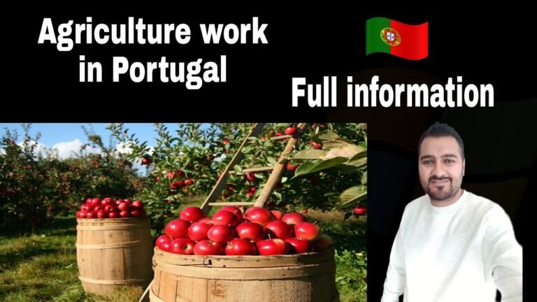 Agriculture work in Portugal salary per hour full information (must watch) |Raja Ali diaries|