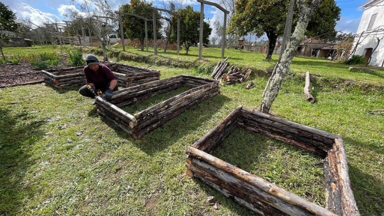 Building RUSTIC Raised Beds from Fallen Pine Trees