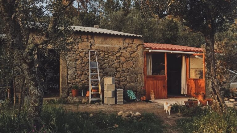 Building our own tiny home, apocalyptic weather & growing our food. Stone barn conversion, Portugal