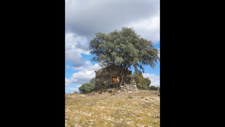 Découverte de notre Quinta au Portugal