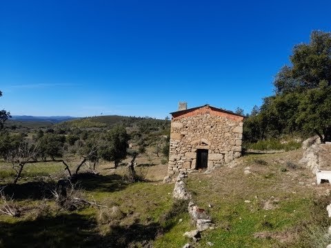 Fantastic farm -2.54ha,stone house,2 springs,well. Sobral do Campo-Center-Portugal. Price:42.000€ Fantastic farm -2.54ha,stone house,2 springs,well. Sobral do Campo-Center-Portugal. Price:42.000€