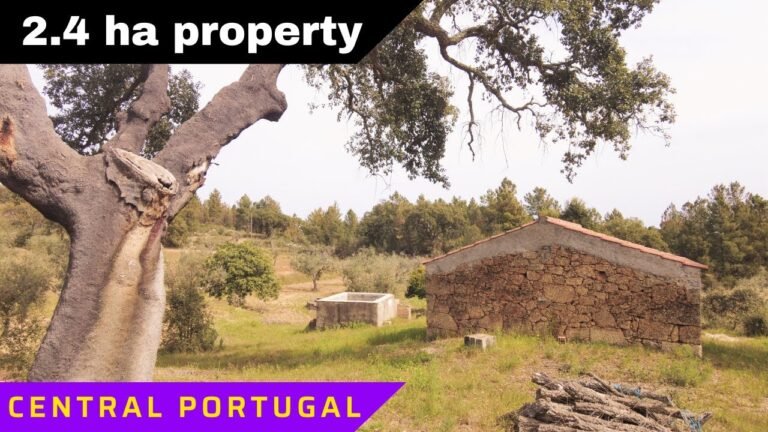 For sale | Central Portugal 2,4 ha Property | € 49.900,00 For sale | Central Portugal 2,4 ha Property | € 49.900,00