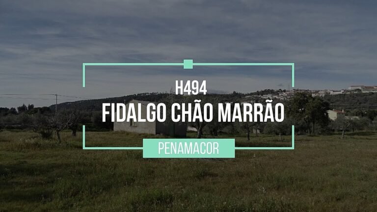 For sale Farm with 8000 m2 in Penamacor – € 58,000