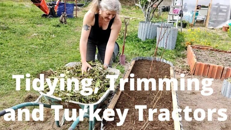 No 38, Tidying,Trimming and Turkey Tractors No 38, Tidying,Trimming and Turkey Tractors