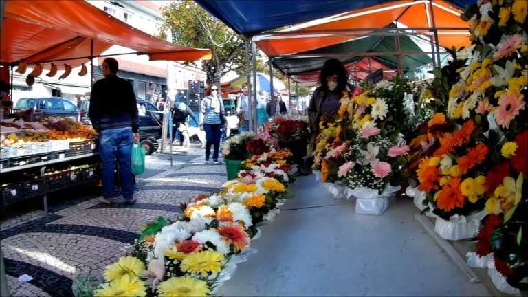 Portugal Traveling Caldas da Rainha, castanhas e flores