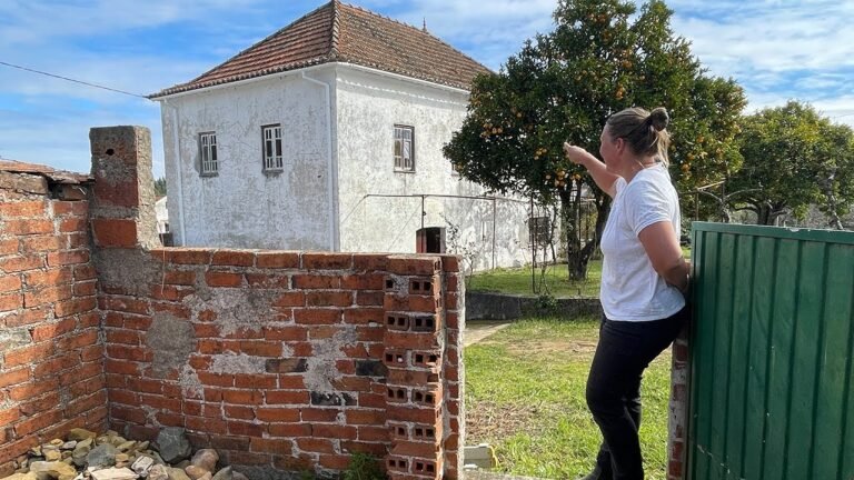 Project Plan: Land, House and Outbuildings on Our Small Farm in Portugal