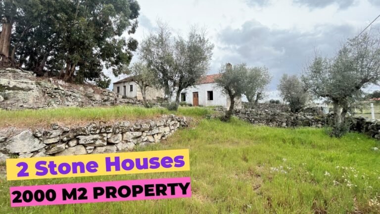 Property for sale | 2 houses | 2000 m2 plot | €50.000,00 | Central Portugal