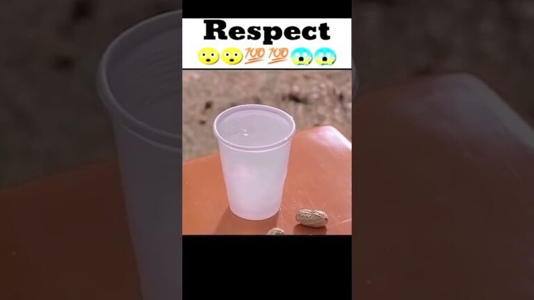respect