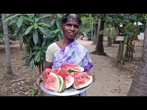 தர்பூசணி உண்ணலாம் வாங்க