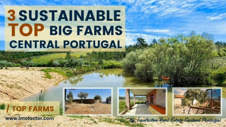 🌄 3 Top Sustainable Big Farms For Sale in Central Portugal