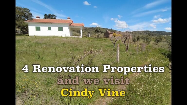 4 renovation properties and a off grid ruin rebuild