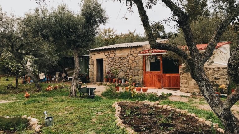 A calm couple of days, living off grid, looking after our 1.5 acre homestead in Central Portugal 🌱 A calm couple of days, living off grid, looking after our 1.5 acre homestead in Central Portugal 🌱