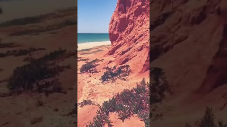 Amazing beach in Portugal #short #shortvideo #shorts #subscribe #ytshorts