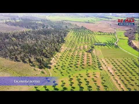 Central Portugal FARM | WATER | Centenary  Olive Grove | Old Vineyards | 36ha | Golden Visa 2022 |