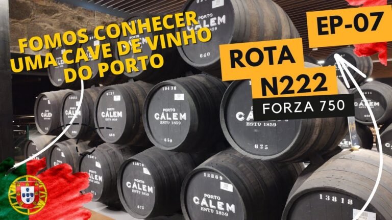 🍷Como é uma CAVE de VINHO DO PORTO | CAVES CALÉM | EP – 07