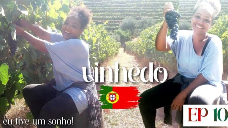 ESPECIAL PORTUGAL EP 10 | A colheita das uvas em Portugal