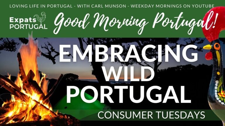 Embracing WILD Portugal on Good Morning Portugal – Scouting, bush craft & the great outdoors