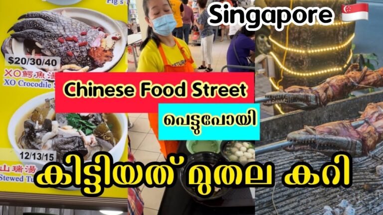 Ep#6 Unseen Chinese food street | ഒരു ജീവിയുടെ curry നമ്മൾക്ക് പറ്റിയ അമളി China Town Singapore