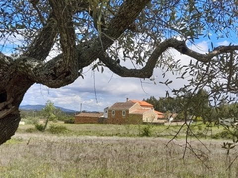 Farm 10ha – Quintas da Torre – Fundão – Portugal. Price: 320.000 Euros