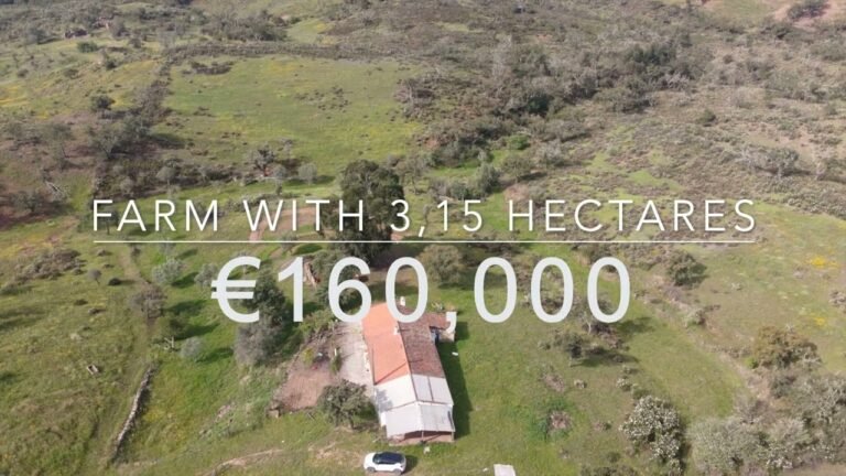 Farm for Sale in Southern Portugal