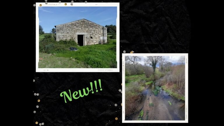 Farm with 13ha in Peraboa, Covilhã – Center – Portugal. Price: 225.000,00 Euros