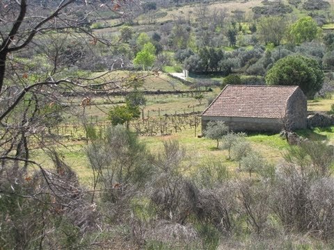 Farm with 5ha, em Aranhas, Penamacor, Centro – Portugal. Ref. LNG80-1. Price: 75.000 Euros