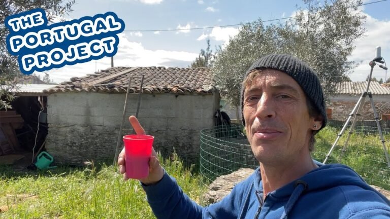 MINI REBUILD PART 1 (..taking the roof and cleaning it out) – Portuguese House Renovation MINI REBUILD PART 1 (..taking the roof and cleaning it out) – Portuguese House Renovation