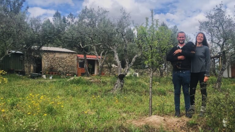 Off Grid Life on a Farmstead in Portugal: growing our food, planting trees and a swarm of bees 🐝🐝