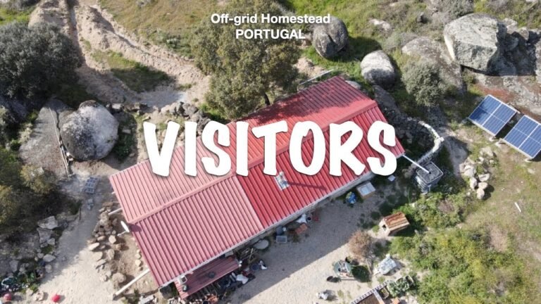 Off-grid Living in Central PORTUGAL / VISITORS