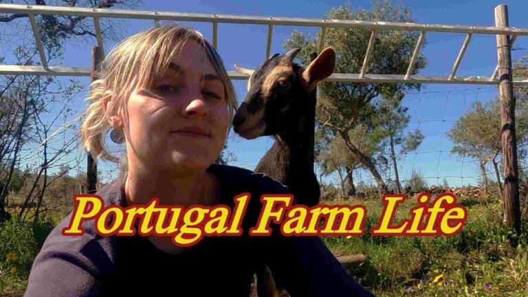 PORTUGAL FARM LIFE – Natural fire prevention with goats – Alex and Oli go off road in the  Mountains