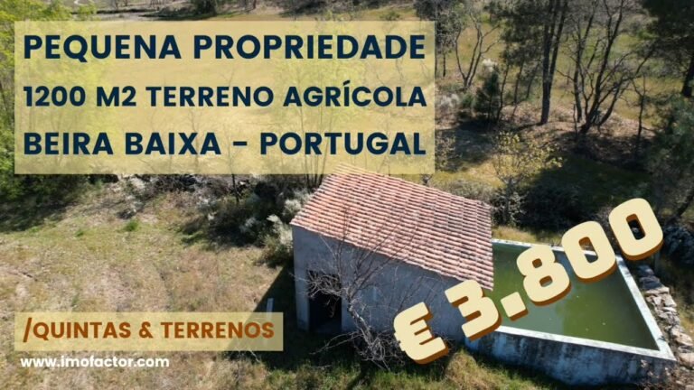 🌾 Pequena Propriedade – 1200 m2 Terreno – Portugal | €3800